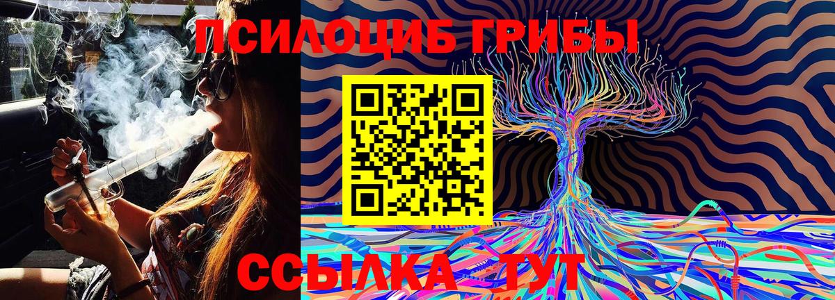 Псилоцибиновые грибы Cubensis  Вход с VPN  Галлюциногенные грибы GOLDEN TEACHER  Горячий Ключ 